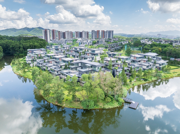 Stake(�й���)�ٷ���վ